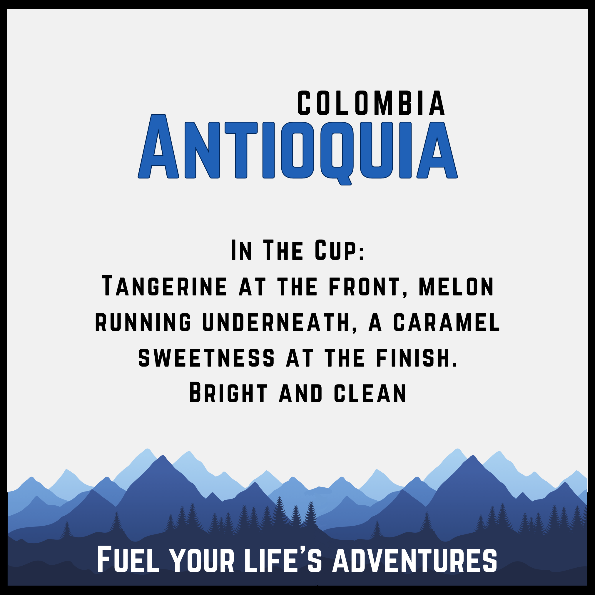 Colombia Antioquia Pink Bourbon