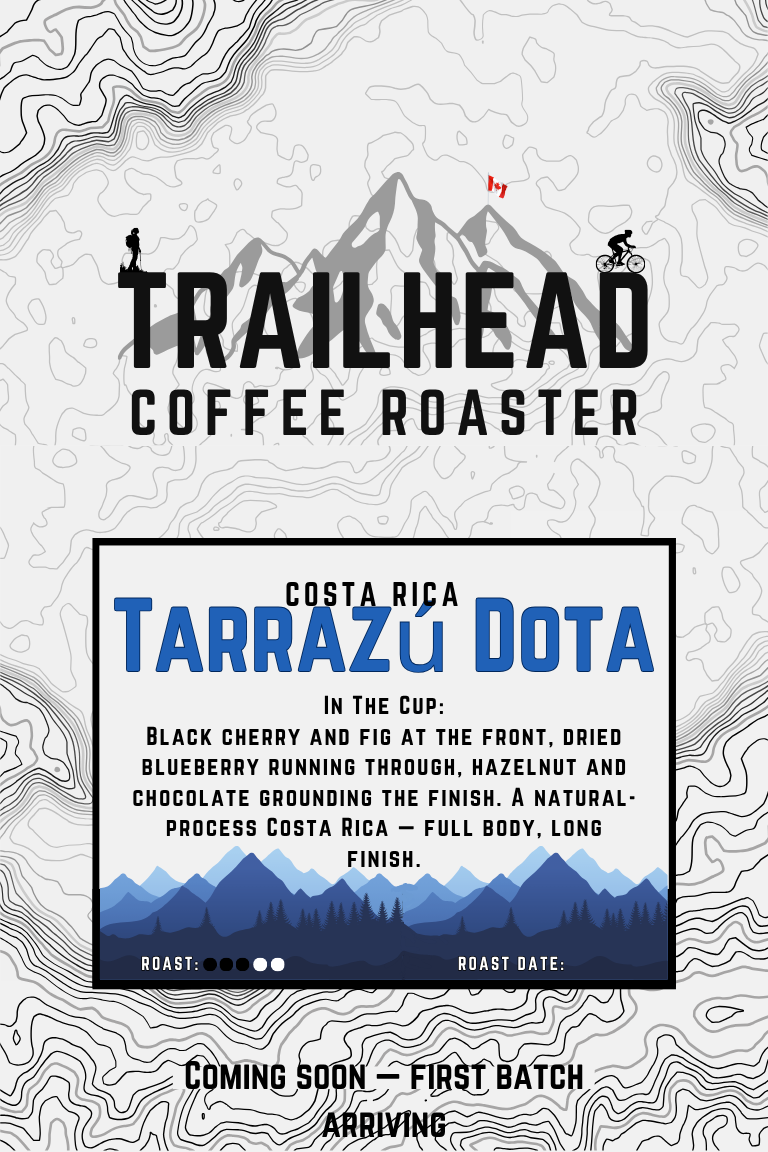 Costa Rica Tarrazú Dota — Coming soon, first batch arriving